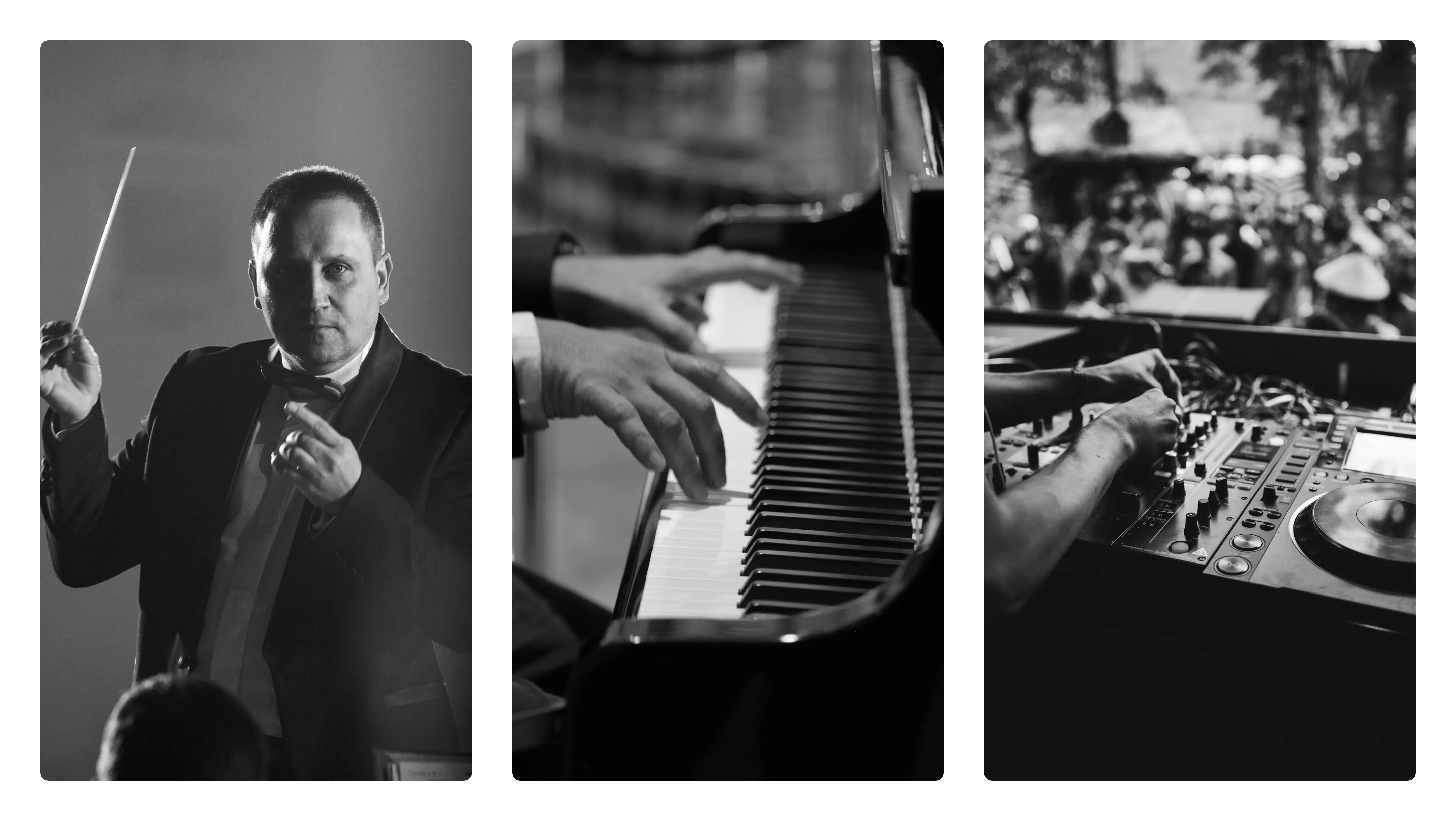 Sixteen section image